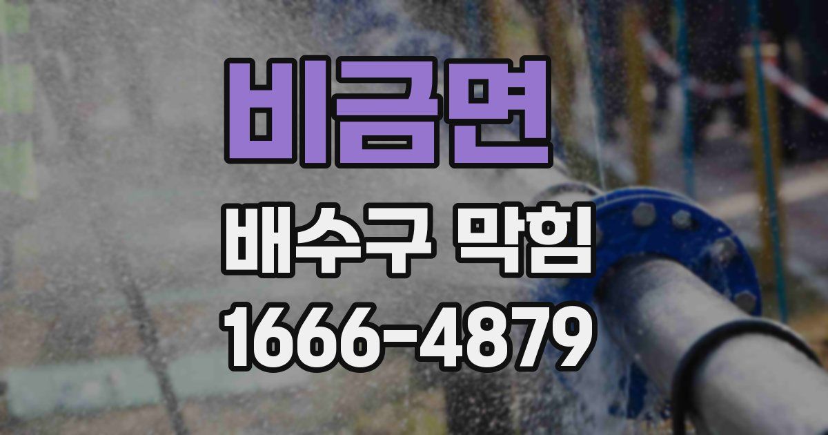 비금면 배수구 막힘