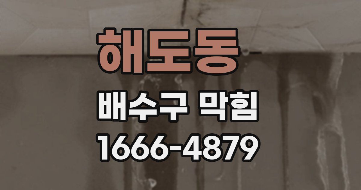 해도동 배수구 막힘