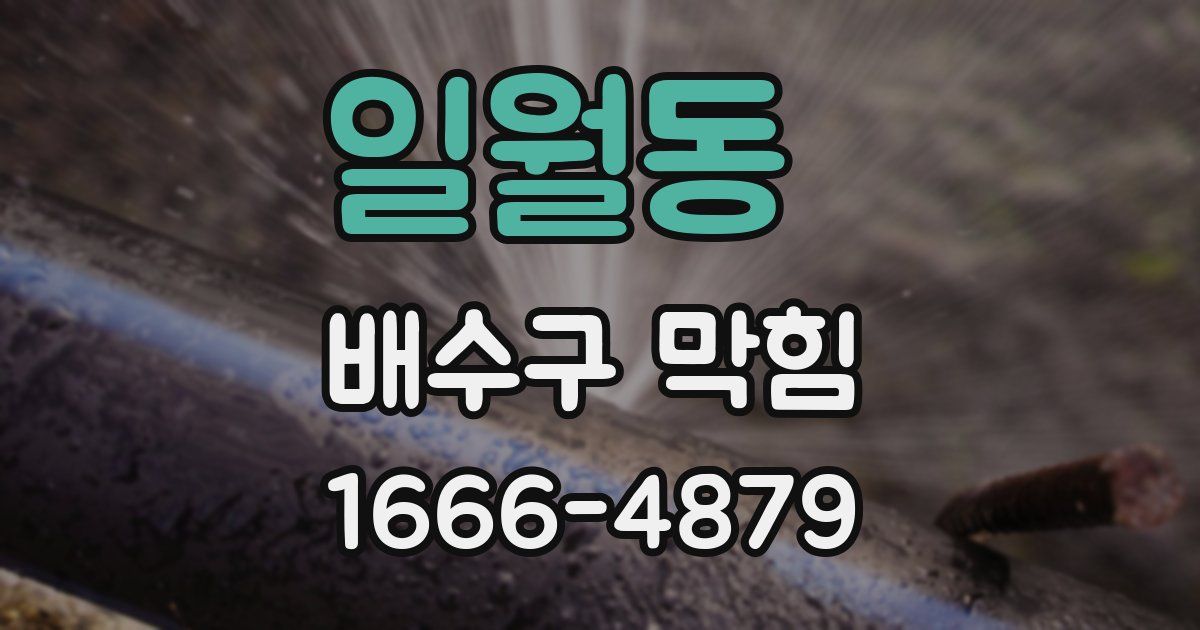 일월동 배수구 막힘