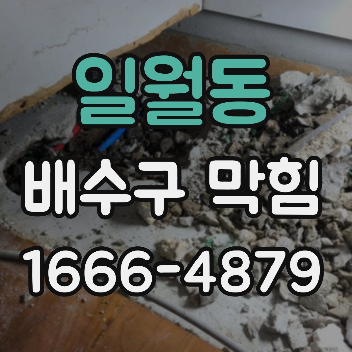 일월동 배수구 막힘