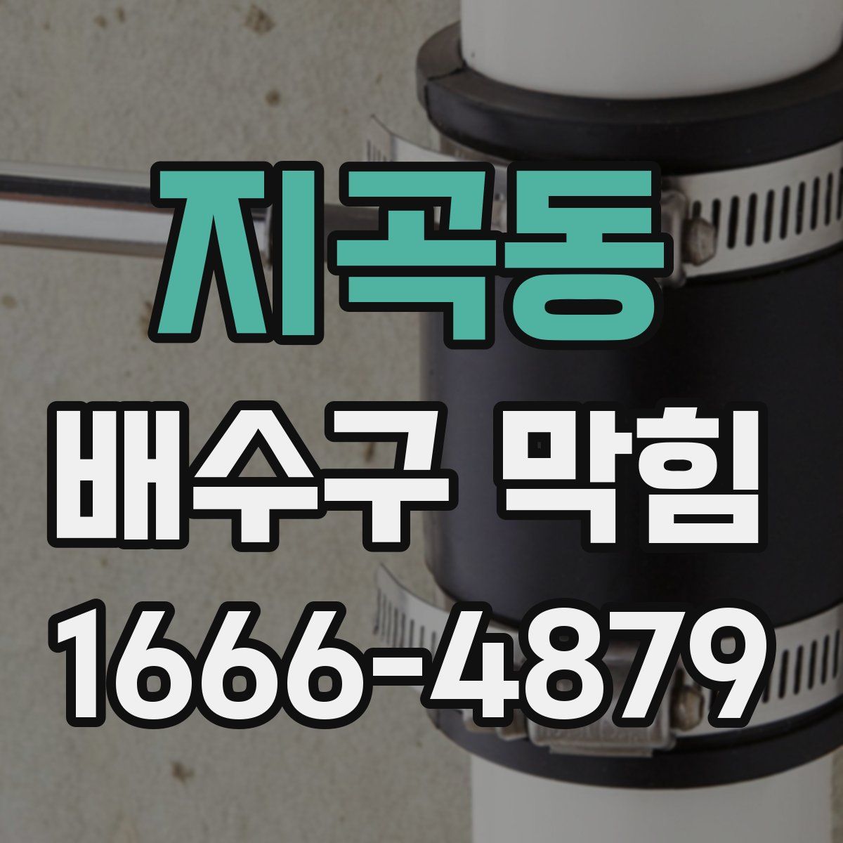 지곡동 배수구 막힘