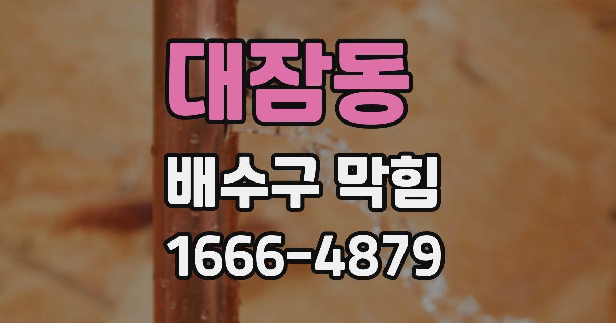 대잠동 배수구 막힘