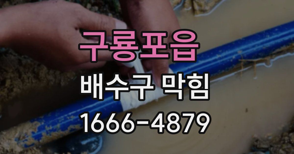 구룡포읍 배수구 막힘