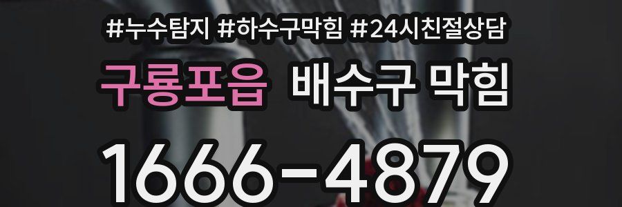구룡포읍 배수구 막힘