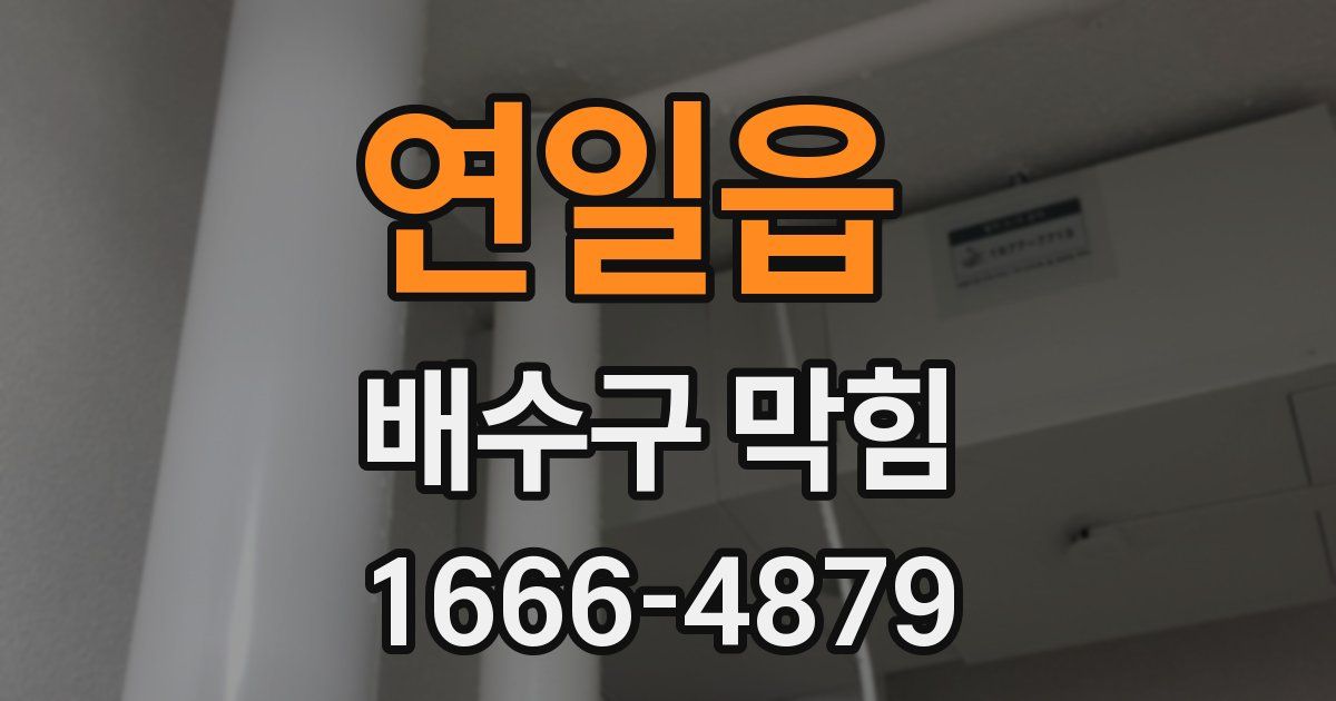 연일읍 배수구 막힘