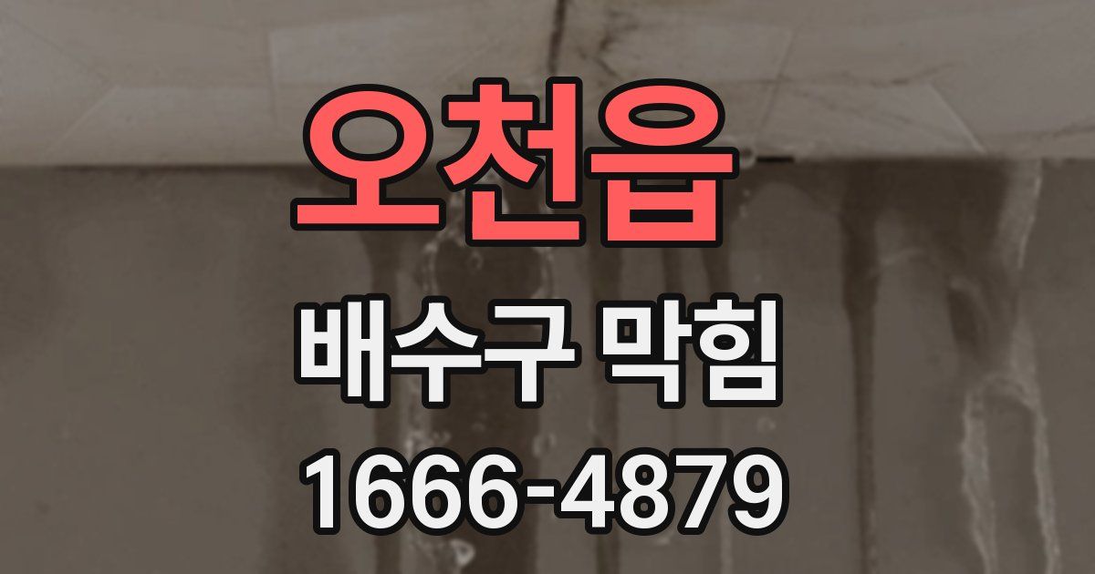 오천읍 배수구 막힘