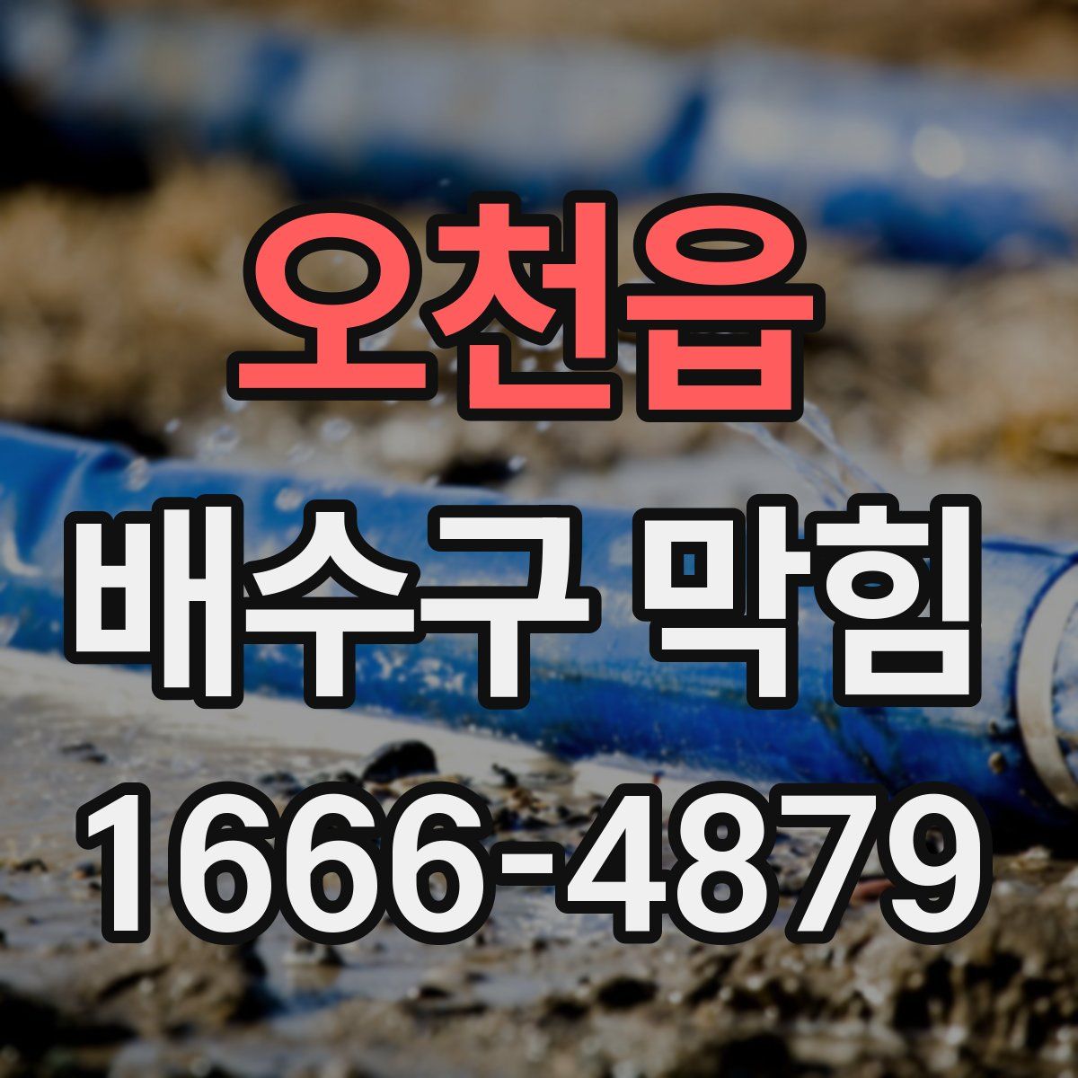 오천읍 배수구 막힘