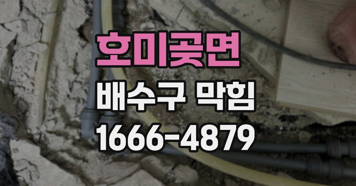 호미곶면 배수구 막힘