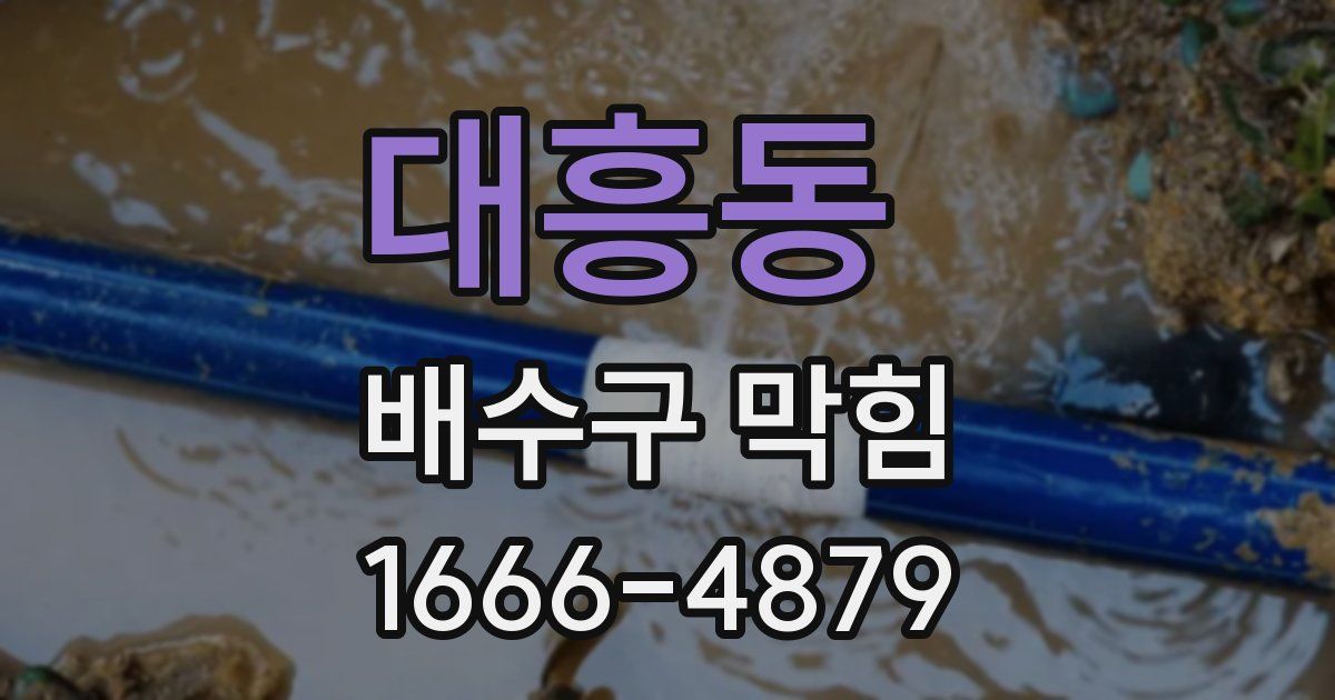 대흥동 배수구 막힘