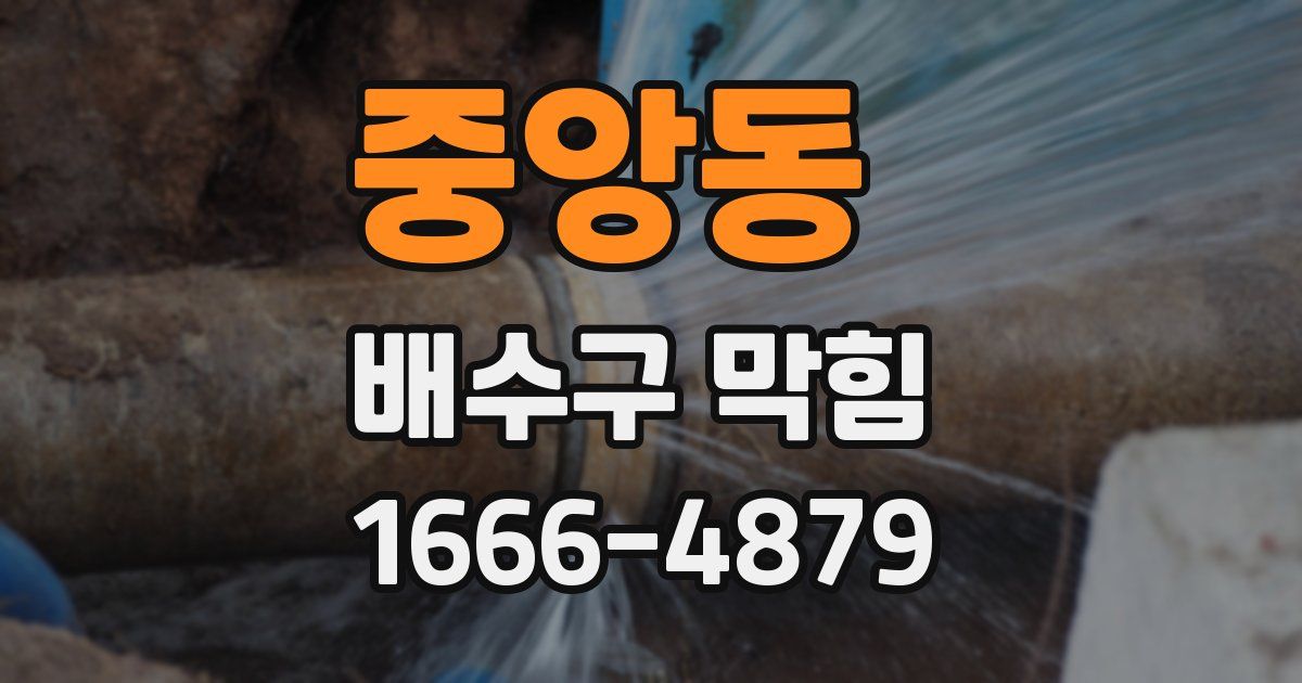 중앙동 배수구 막힘