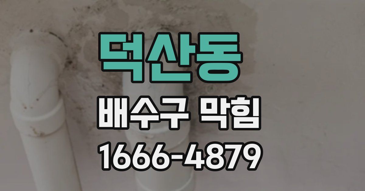 덕산동 배수구 막힘