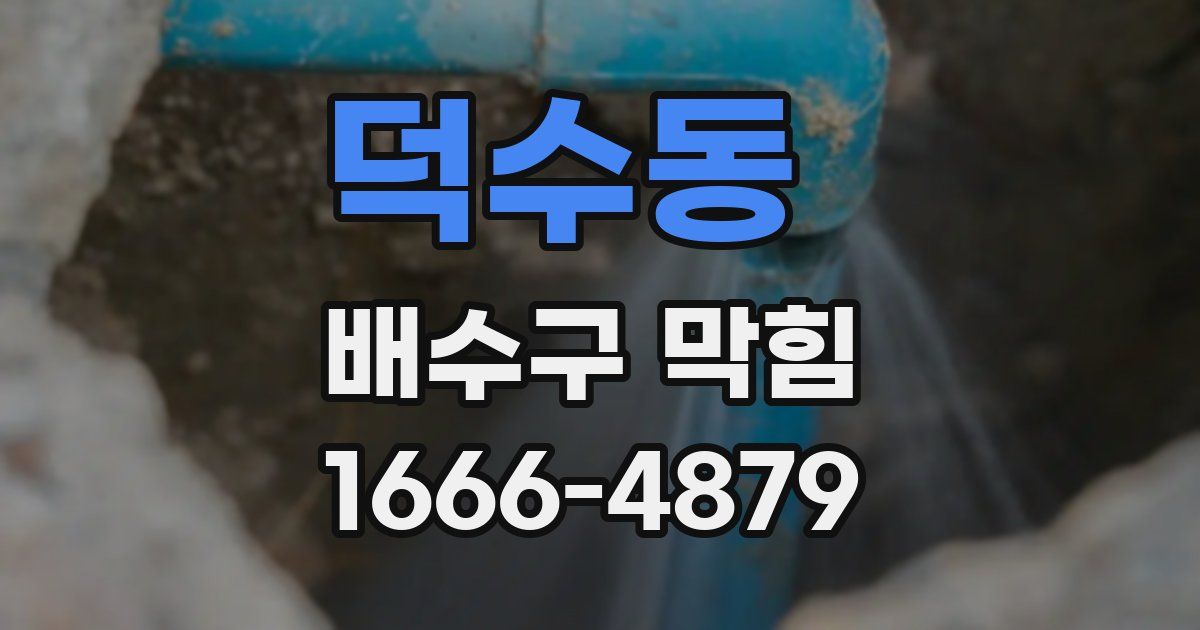 덕수동 배수구 막힘