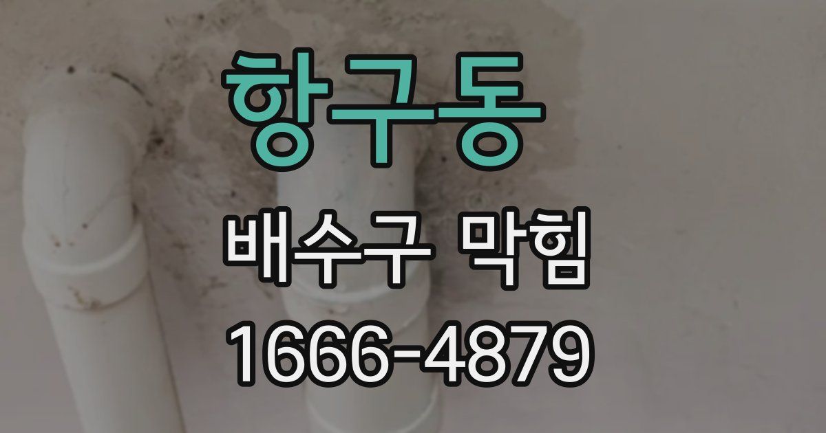 항구동 배수구 막힘