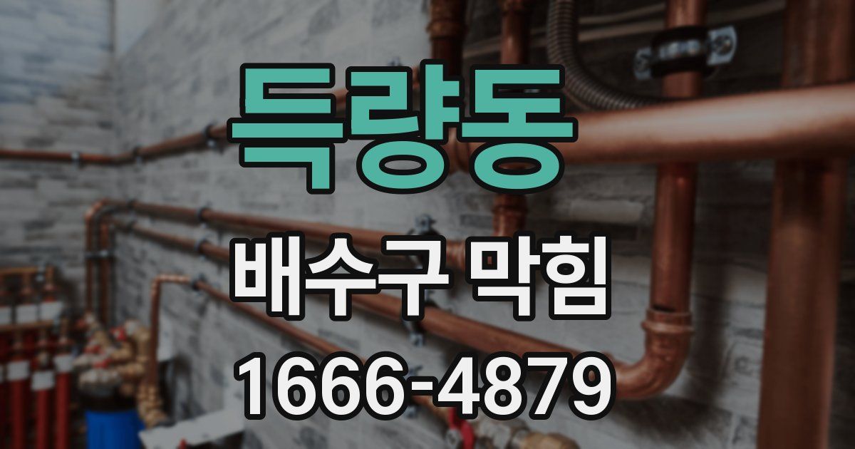 득량동 배수구 막힘