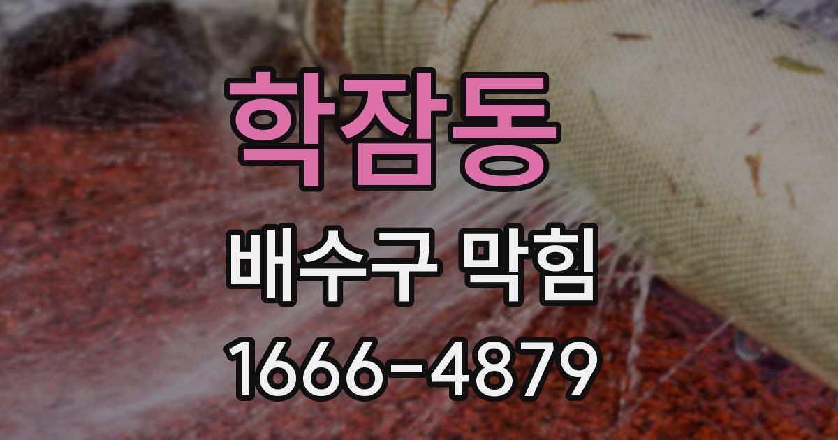 학잠동 배수구 막힘