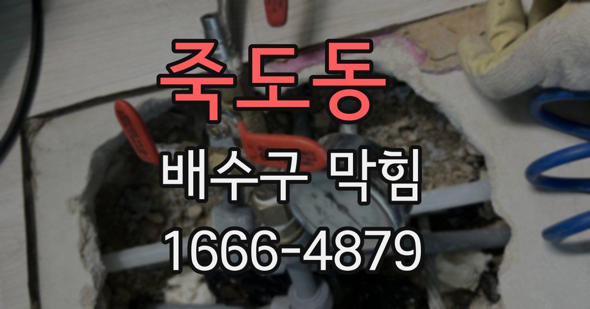 죽도동 배수구 막힘