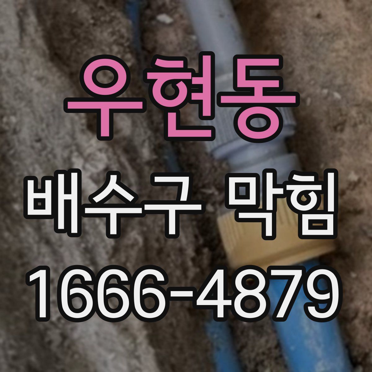 우현동 배수구 막힘