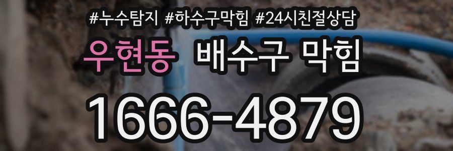 우현동 배수구 막힘