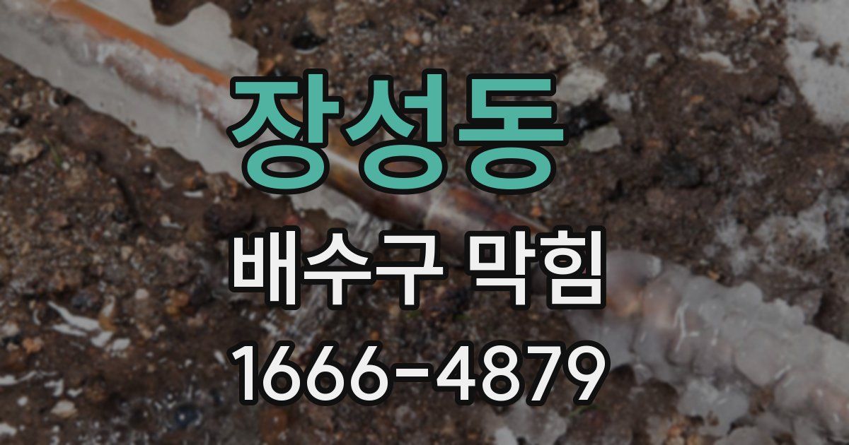 장성동 배수구 막힘