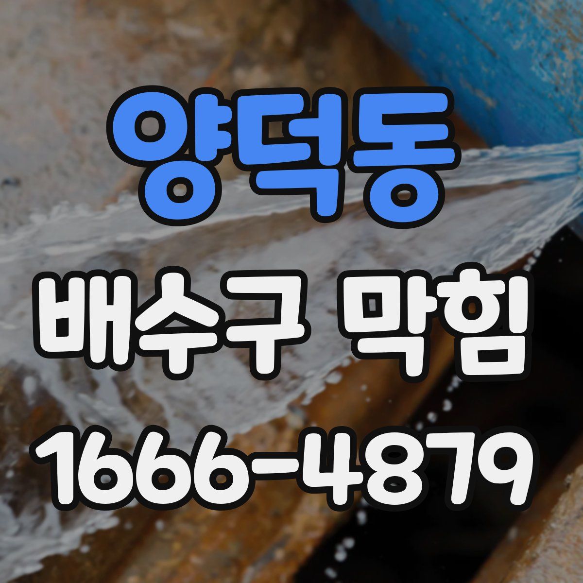양덕동 배수구 막힘