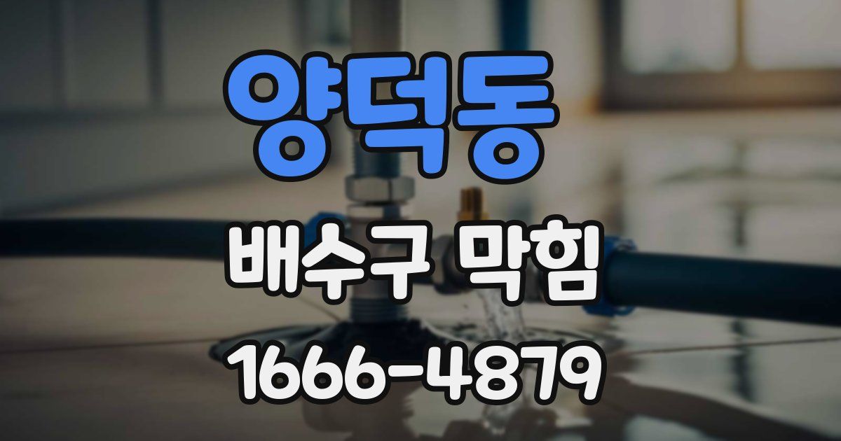 양덕동 배수구 막힘