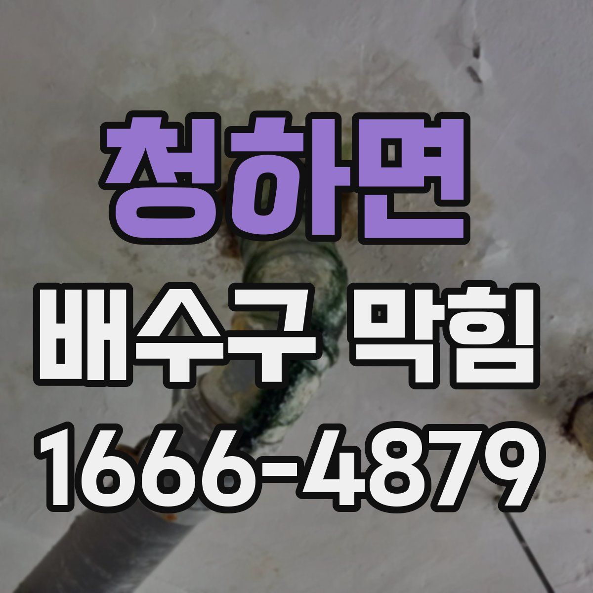 청하면 배수구 막힘