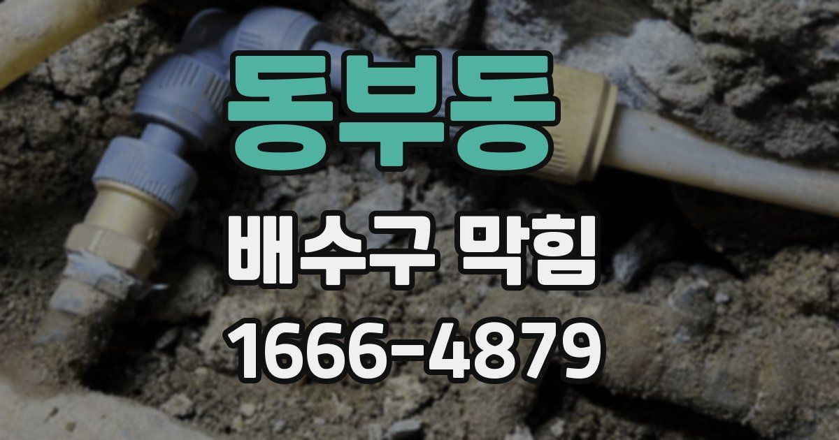 동부동 배수구 막힘