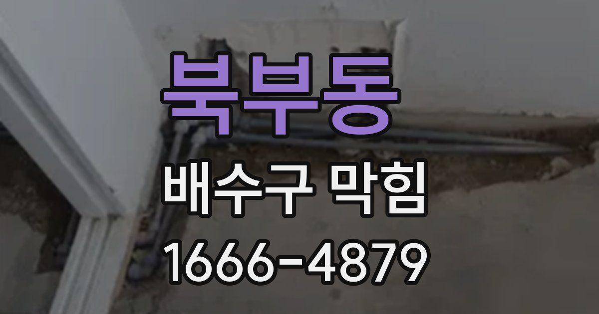 북부동 배수구 막힘