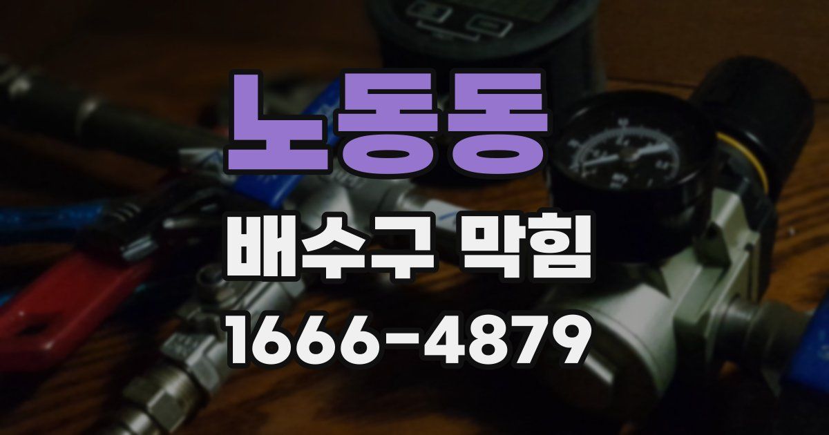 노동동 배수구 막힘