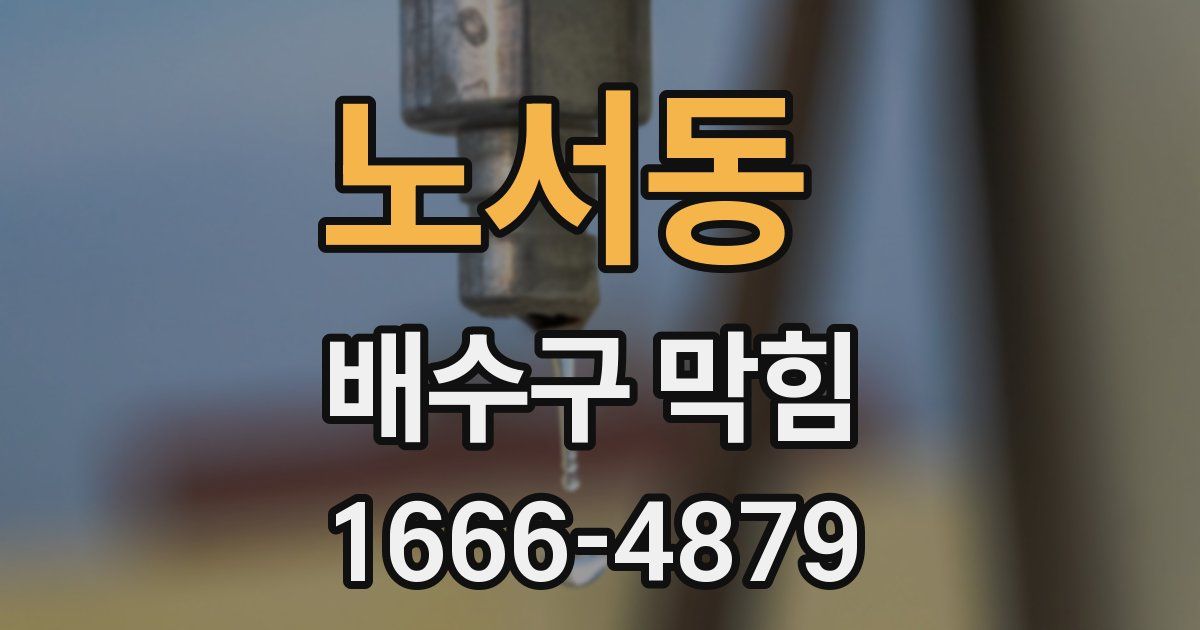 노서동 배수구 막힘