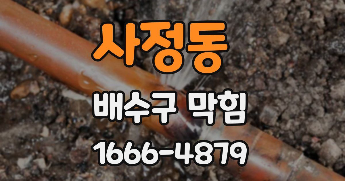 사정동 배수구 막힘