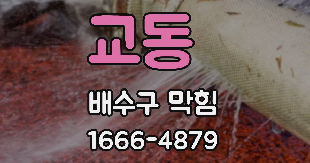 교동 배수구 막힘