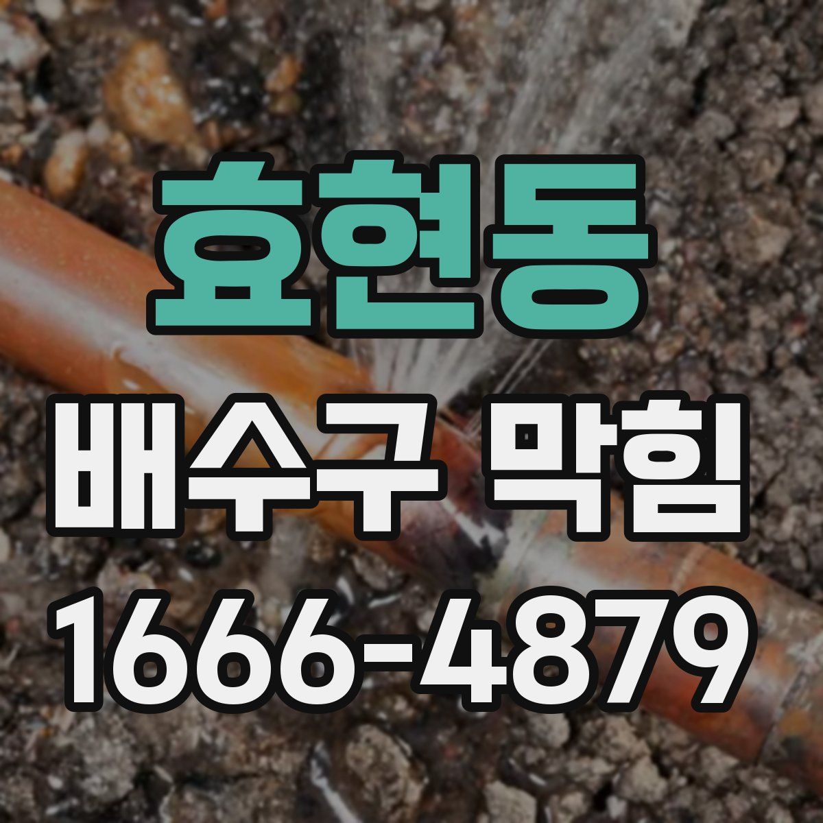 효현동 배수구 막힘