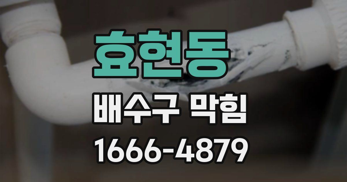 효현동 배수구 막힘
