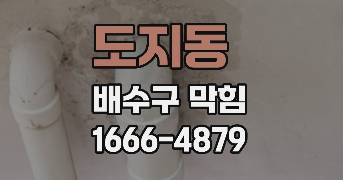 도지동 배수구 막힘