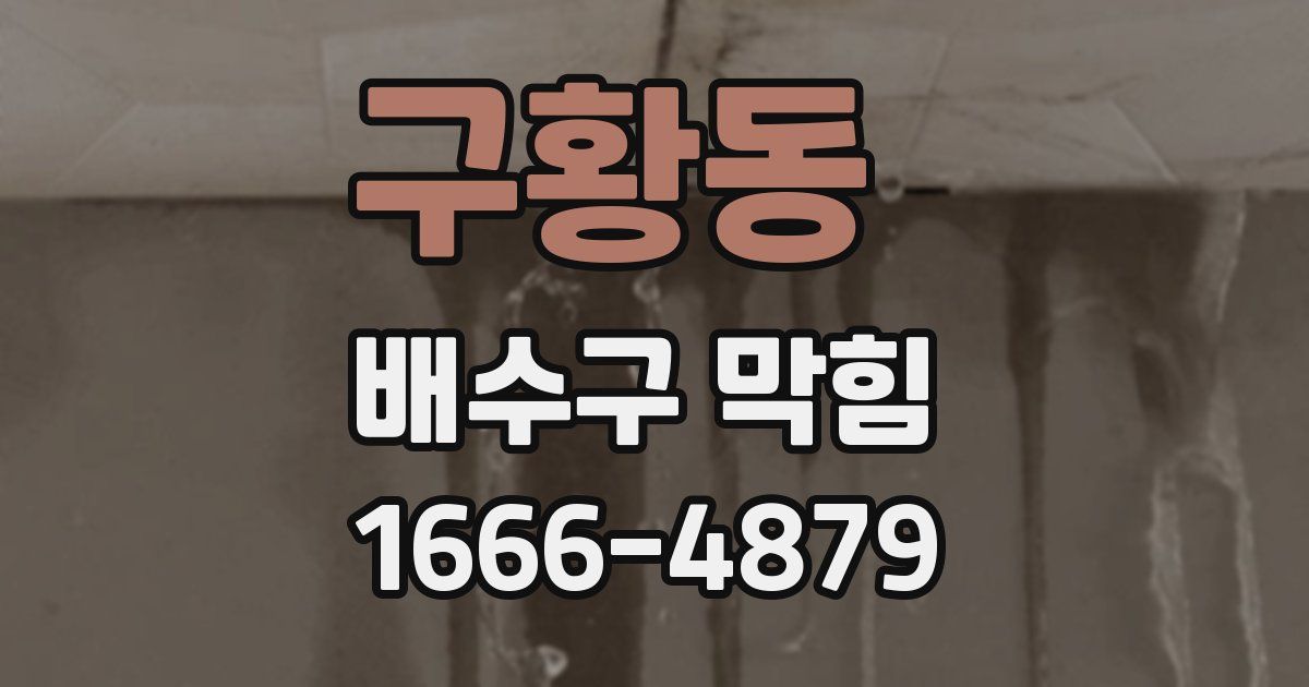 구황동 배수구 막힘