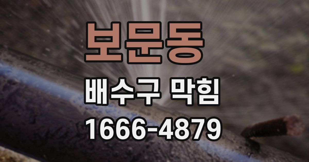 보문동 배수구 막힘