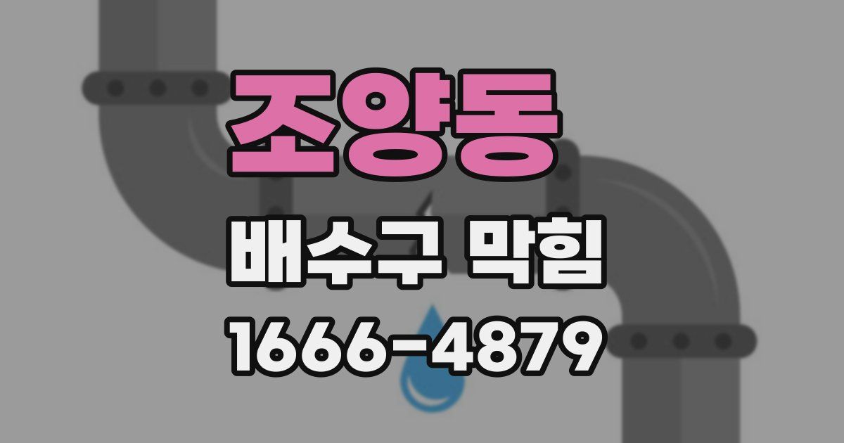조양동 배수구 막힘