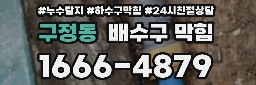 구정동 배수구 막힘