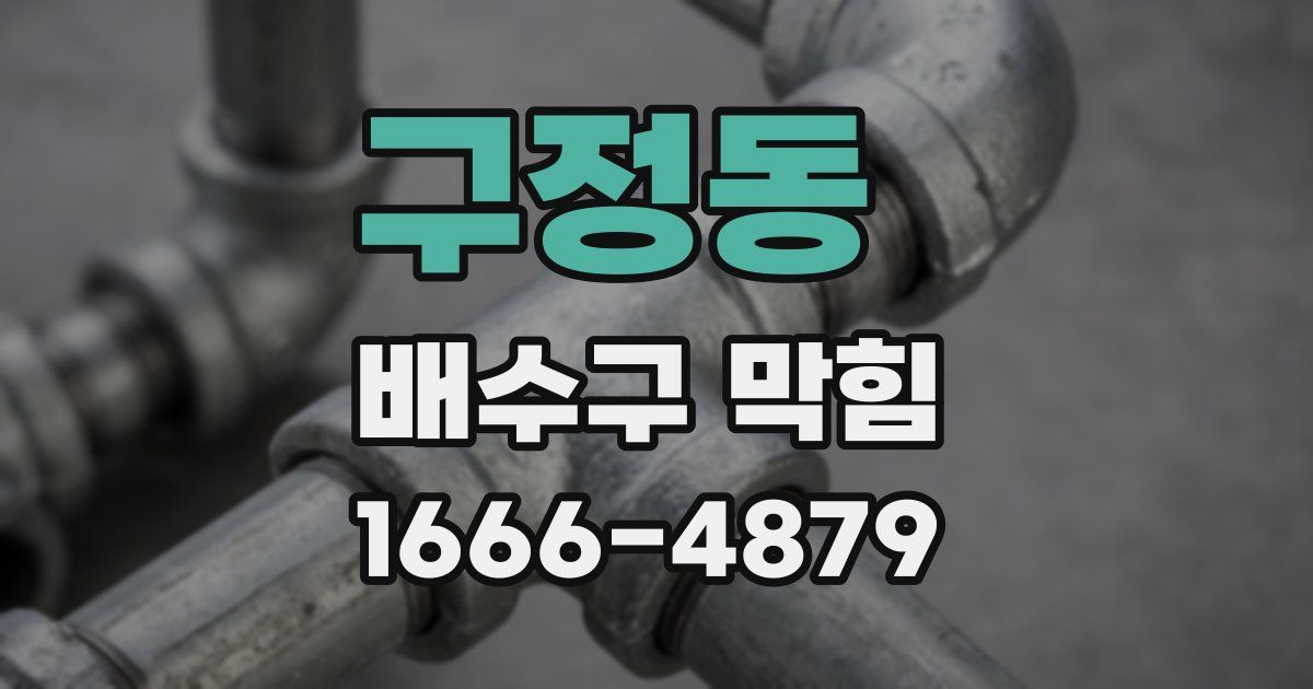 구정동 배수구 막힘