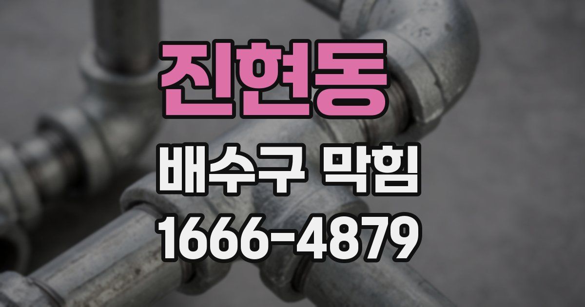 진현동 배수구 막힘