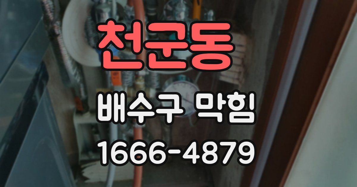 천군동 배수구 막힘