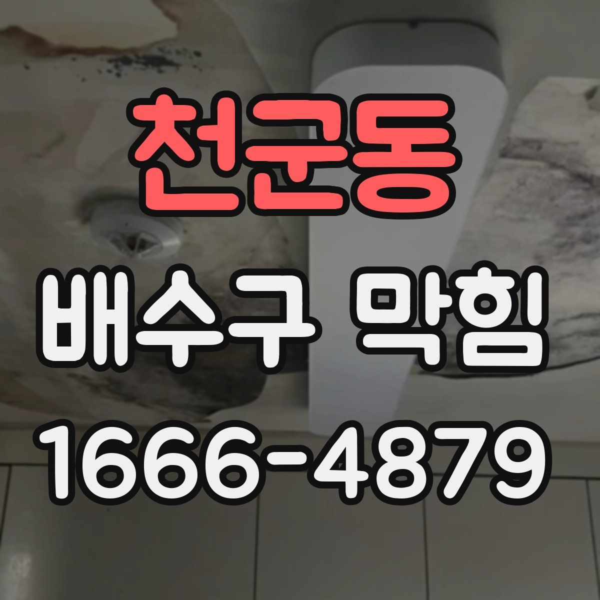 천군동 배수구 막힘