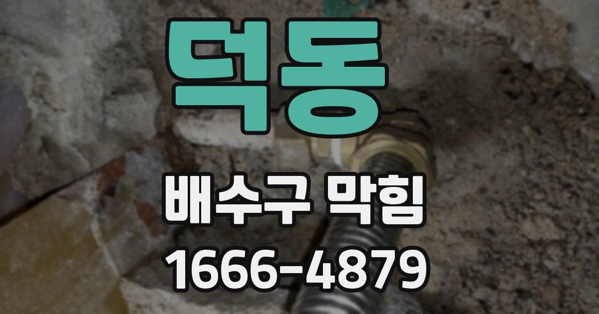 덕동 배수구 막힘