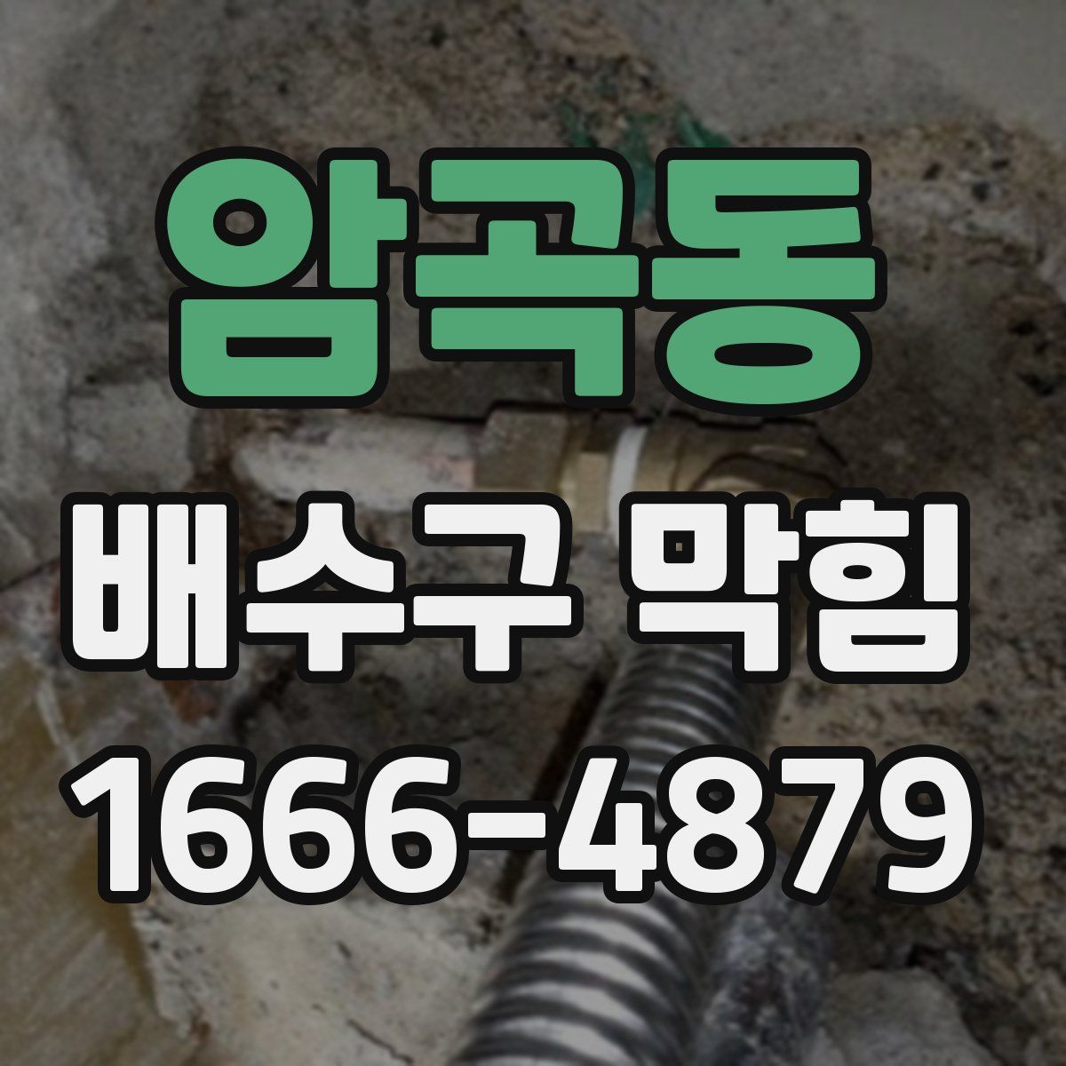 암곡동 배수구 막힘