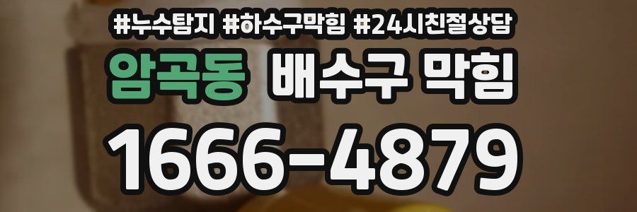 암곡동 배수구 막힘