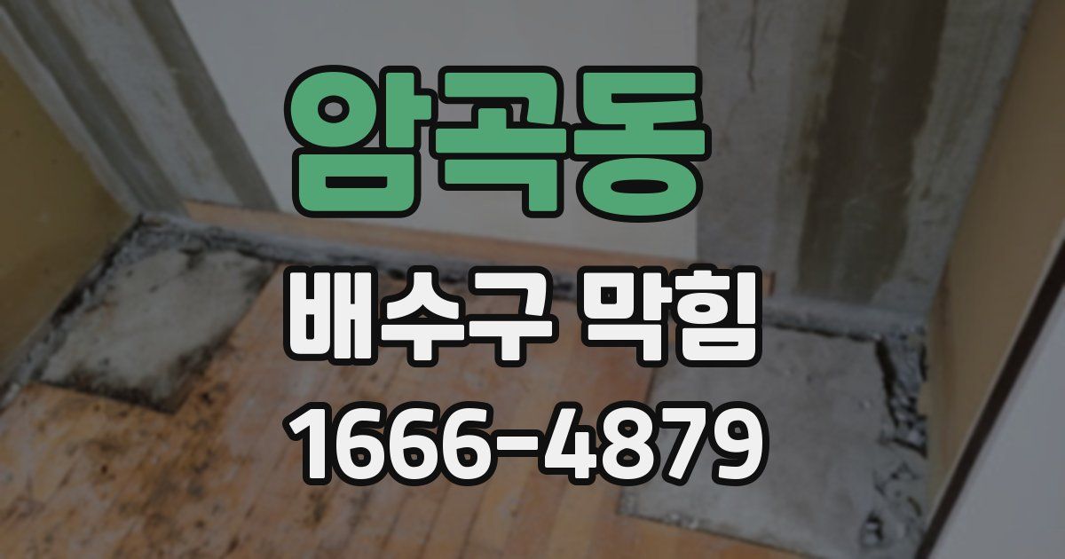 암곡동 배수구 막힘