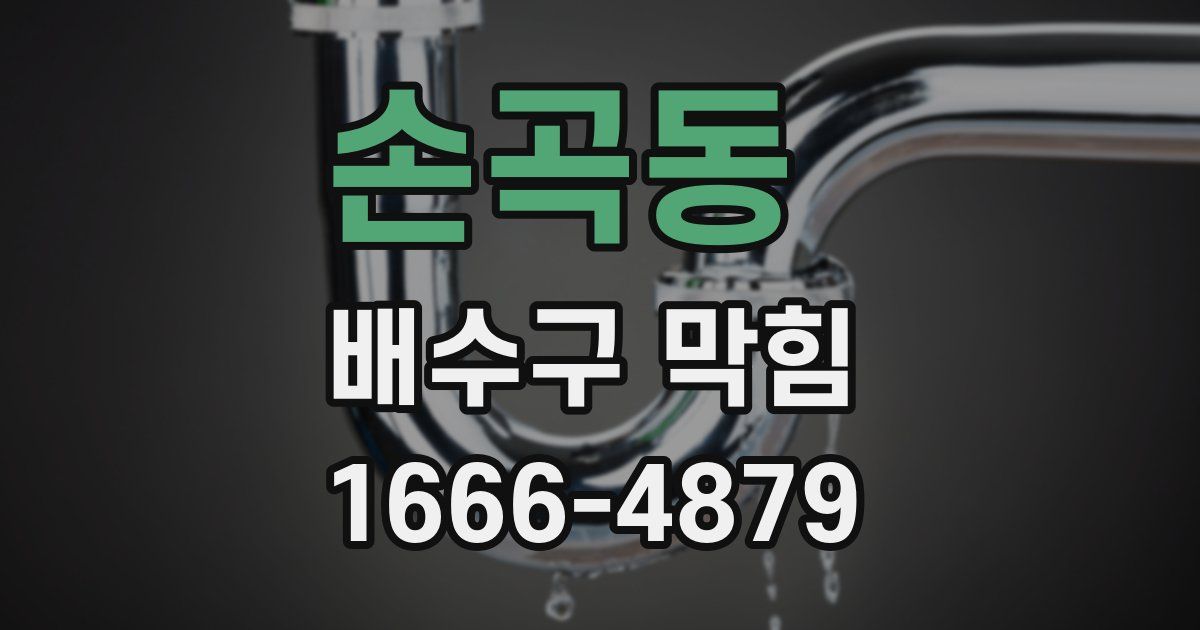 손곡동 배수구 막힘