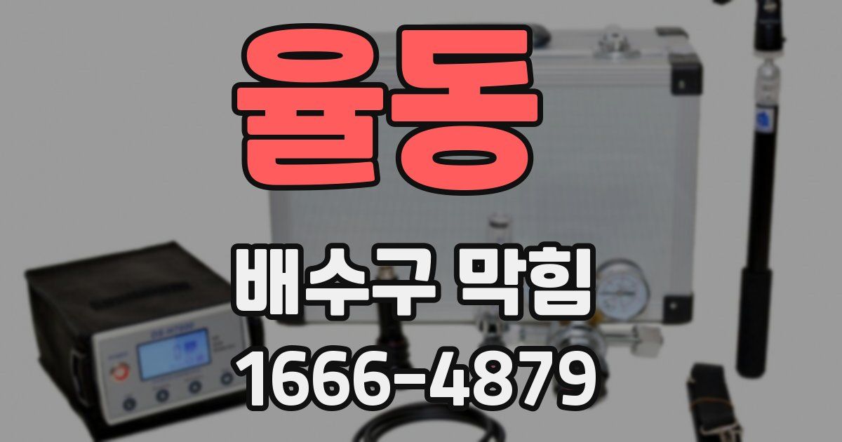 율동 배수구 막힘