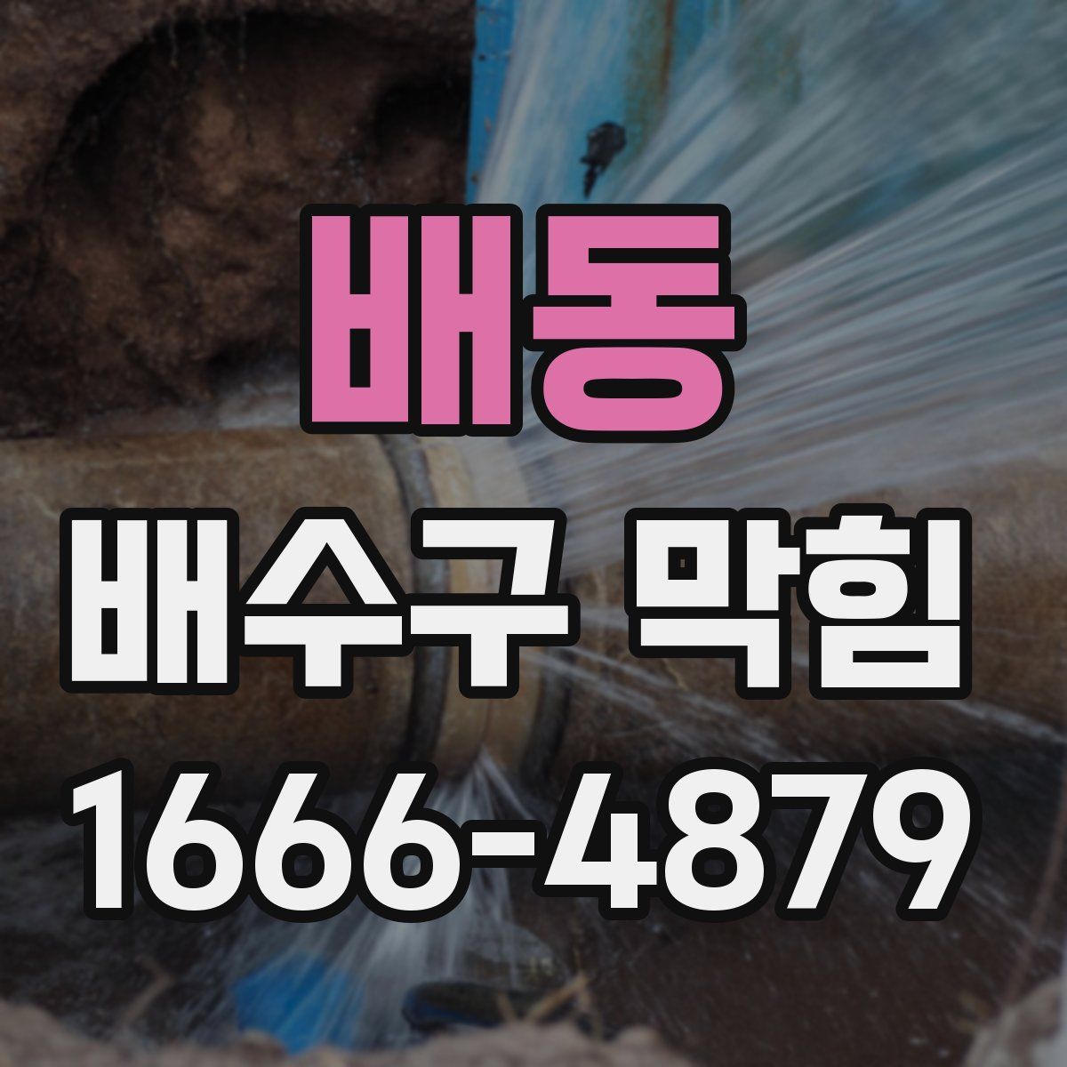 배동 배수구 막힘